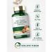 Carlyle Shiitake Mushroom Extract 2000mg - 200 Capsules | Non-GMO & Gluten Free - Buy Online on GoSupps.com