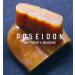 Poseidon Bottarga - Spiced Wild Mullet Roe Mediterranean Superfood from Sardinia 100-130g Made in Italy Kosher | Premium International Shipping - Buy Online on GoSupps.com