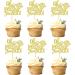 Ercadio 24 Pcs Hot Air Balloon Cupcake Toppers Gold Glitter Balloon Oh the Places You'll Go Cupcake Picks Balloon Cupcake for Hot Air Balloon Theme Birthday Baby Shower Party Decoration Gold Oh Gold - Buy Online on GoSupps.com