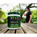 KOA Organics Greens Superfood Juice Powder - USDA Organic Super Greens Powder with with Spirulina Chlorella Matcha Wheat Grass Digestive Enzymes & Probiotics - Lemon Flavor -30 ServQ - Buy Online on GoSupps.com