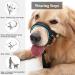 Durable Dog Head Necklace for Labrador - No Pulling Soft Upholstery XL Blue/Black with Training Instructions | International Shipping - Buy Online on GoSupps.com