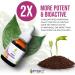 Sinus Health Gemmotherapy Extract Blend 50ml - Sinus Eliminator with Budding Plant Stem Cell Extract - Buy Online on GoSupps.com