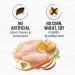 Beyond Simply Natural Dry Cat Food Farm-Raised Chicken & Whole Oat Meal - 2.72 kg Bag 2.72 kg (Pack of 1) - Buy Online on GoSupps.com