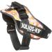 IDC Powerharness XL/2 - Pink with Flowers | International Shipping Available - Buy Online on GoSupps.com