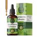 HERBAMAMA Gymnema Sylvestre Drops - Vegan Antioxidant & Overall Support with Gymnema Leaf Extract Tincture - Non-GMO Alcohol & Sugar-Free Liquid Gurmar Supplement 84-Day Supply 4 Fl Oz (Pack of 1)