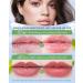 Lip Balm Set-8pcs Avocado Hydrating Lip Balm Moisturizing Soothing Care Lip Moisturizer Improve Dry & Chapped Lips Colorless Non-Sticky Lip Primer Thanksgiving Lip Care Gift Kit for Women Girl 8PCS*2.7g - Buy Online on GoSupps.com