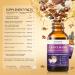 Lions Mane Mushrooms Liquid Extract Lions Mane Supplement Organic 8 Mushrooms Complex Extract Drops Up to 2 Month Supply (60ml) 60 ml (Pack of 1) - Buy Online on GoSupps.com