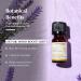 AROMAFUME Patchouli Essential Oil - 100% Natural Therapeutic Grade Essential Oils - Pure Harmonising Aromatherapy Oil for Home Diffusers - Gifts for Her - 10ml - Buy Online on GoSupps.com