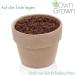 Premium Owngrown Catnip Seeds | Grow 1000 Catnip Plants - Nepeta Cataria for Pots & Gardens - Buy Online on GoSupps.com