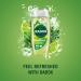 Radox body wash Feel Energised 225 ml - Buy Online on GoSupps.com