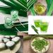 Dried Pandan Leaves - 1.76oz Whole Stalks Fragrant Flavoring for Desserts Cooking & More - Buy Online on GoSupps.com