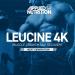 Leucine 4K 160 Capsules - Premium Quality Branched Chain Amino Acid Supplement - Buy Online on GoSupps.com