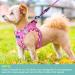 Haapaw No Pull Dog Harness & Leash Set - Adjustable Reflective Padded Vest for Extra Small to Medium Dogs - Pink (Chest 38.1-45.7 cm 4.5-6.8 kg) - Buy Online on GoSupps.com