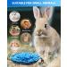 Rabbit Foraging Mat - Interactive Feed Game for Small Pets | OVMKOV 9.44 x 9.44 Snuffle Pad Bed Nosework Mat for Bunny, Hamster, Guinea Pigs, Ferrets, Chinchillas - Buy Online on GoSupps.com