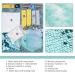 Memory Loss Fidget Blanket - Alzheimers Therapy Aid for Seniors - Anxiety Relief Toy for Mental Stimulation (Blue) - Buy Online on GoSupps.com
