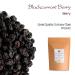 Organic Black Currant Berry 200g - Unsweetened Dried Fruit for Baking - Buy Online on GoSupps.com