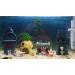 Be Sailed Spongebob Aquarium Decor - 4pcs Fun Fish Tank Ornament for Betta Fish | International Shipping - Buy Online on GoSupps.com