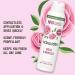 Schmidt's Natural Deodorant Spray - Rose & Vanilla 48H Odor Protection Aluminum-Free Vegan & Cruelty-Free 3.2 oz - Buy Online on GoSupps.com