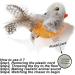Vealind Interactive Cat Toy 2 Pack - Electronic Bird & Mouse with Sound | Ideal for Cats | Best Quality Pet Toys - Buy Online on GoSupps.com