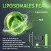 Palmitoylethanolamide (PEA) Liposome 1100mg with Luteolin Micronized PEA - High Purity Super Absorption and Optimum Effectiveness 60 Softgels - Buy Online on GoSupps.com