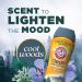 Shop Arm & Hammer In-Wash Scent Booster - Cool Woods 24oz | Enhance Your Laundry with Long-Lasting Freshness | International Shipping Available - Buy Online on GoSupps.com