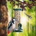 Paul's M hle Wild Bird Food - Year-Round 5 kg Pack for All Seasons - Premium Nutrition for Wild Birds - Buy Online on GoSupps.com