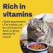 Bob Martin Cat & Kitten Conditioning Tablets (100 Tablets) - Vitamin-Rich Immune Support & Nutritional Fish Supplement - Buy Online on GoSupps.com