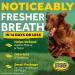 TropiClean Fresh Breath Oral Care Drops for Dogs & Cats - Natural 2oz Bad Breath Freshener - Buy Online on GoSupps.com