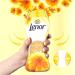 Lenor Outdoorable Ultra Concentrated Fabric Conditioner 33 Washes 462ml + Lenor in-Wash Scent Booster Beads 176 gr Summer Breeze Bundle Scent - Buy Online on GoSupps.com