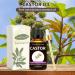 Organic Cold Pressed Castor Oil for Hair Eyelashes and Beard Growth - 3.38 fl oz Unrefined | Sedbuwza - Buy Online on GoSupps.com