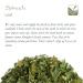 Buy Dried Spinach Leaf Flakes - 100g Pack | High-Quality Spinach Leaves for Cooking & Snacks | International Shipping Available - Buy Online on GoSupps.com