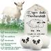 Maisitoo 100% Wool Dryer Balls - Natural Fabric Softener Reduces Wrinkles Antistatic 6 Reusable Tumble Dryer Balls for Faster Drying - Buy Online on GoSupps.com
