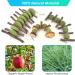 ERKOON 3PCS Bunny Chew Toys | Natural Apple Wood & Timothy Grass Cake Treats for Rabbits, Guinea Pigs, Chinchillas, Hamsters | Dental Health Improvement - Buy Online on GoSupps.com