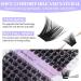 0.07mm D Curl Mixed Long Cluster Lashes 12-16mm | Reusable Soft Wispy Eyelash Extensions - Buy Online on GoSupps.com