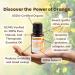 Rocky Mountain Oils Organic Orange Essential Oil - 100% Pure Aromatherapy Diffuser Oil | Pet-Friendly Citrus Fragrance | Therapeutic Grade 15mL - Buy Online on GoSupps.com