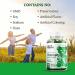 Organic Wild Chlorophyll Gummies - Energy Booster & Immune Support - 50mg 60 Chews - Buy Online on GoSupps.com