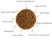 Organic Ginger Root Spice 200g - Dried Ginger Pieces 7.05 Ounce - Tanacetum Parthenium Seasoning - Buy Online on GoSupps.com