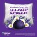 ZzzQuil Pure Zzzs Melatonin Sleep Aid Gummies with Lavender Valerian Root and Chamomile Natural Wildberry Vanilla Flavor Non-Habit Forming Drug-Free 24 Gummies (Pack of 4) 24 Count (Pack of 4) - Buy Online on GoSupps.com