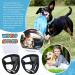Reusable Dog Diapers 2 Pack - Washable Hygiene Pads for Bitches - Eco-Friendly XL Protective Trousers - Buy Online on GoSupps.com