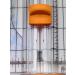 Fiskars SureCut Portable Paper Trimmer  12 Inch Cut   Orange - 154450-1009 - Buy Online on GoSupps.com