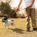 Vivaglory Traffic Handle Dog Leash - Reflective Padded Durable 1.2m Training Line for Dogs - Red - Buy Online on GoSupps.com