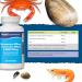 Glucosamine Chondroitin & MSM 120 Tablets - UK Made, Supports Active Lifestyle - Buy Online on GoSupps.com