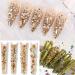 660Pcs Champagne Gold Crystal Rhinestones - Nail Art and Crafts DIY Accessories - Buy Online on GoSupps.com
