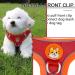 Rennaio No Pull Dog Harness & Leash Set - Adjustable Puppy Harness with 2 Clips - Ultra Comfortable for Small & Medium Dogs (Red Medium) - Buy Online on GoSupps.com