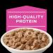 Purina Pro Plan Veterinary Diets UR Salmon Recipe Wet Cat Food - 5.5 oz Cans (Pack of 24) - Buy Online on GoSupps.com
