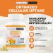 Maximize Within Liposomal Vitamin C Capsules - Enhanced Absorption 60 Count - Buy Online on GoSupps.com