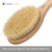 Hydr a London Long Handle Body Brush - FSC Beech Wood Natural Cactus Bristles for Dry Brushing Exfoliation Cellulite & Lymphatic Drainage - Buy Online on GoSupps.com