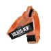 Julius-K9 Color & Gray Belt harness 2XL / 3 orange-grey