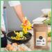 Spicy Welt Oignon en Poudre (500g) Oignon Moulu | Pour Marinades Sauces Burgers & Frites | Saveur Douce & R tie | 100% Naturel Sans Additifs - Buy Online on GoSupps.com