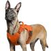 Rabbitgoo dog harness Large dogs anti -train crockery dog adjustable with handles widened robust and wear -resistant tactical dog dishes with metal buckles for hiking (L orange) L (1 Pack) Orange